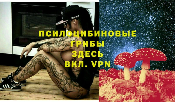 ПСИЛОЦИБИНОВЫЕ ГРИБЫ Магадан