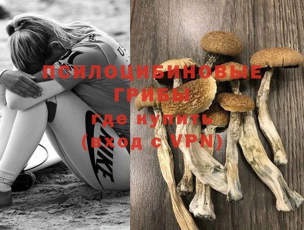 не бодяженный Медвежьегорск
