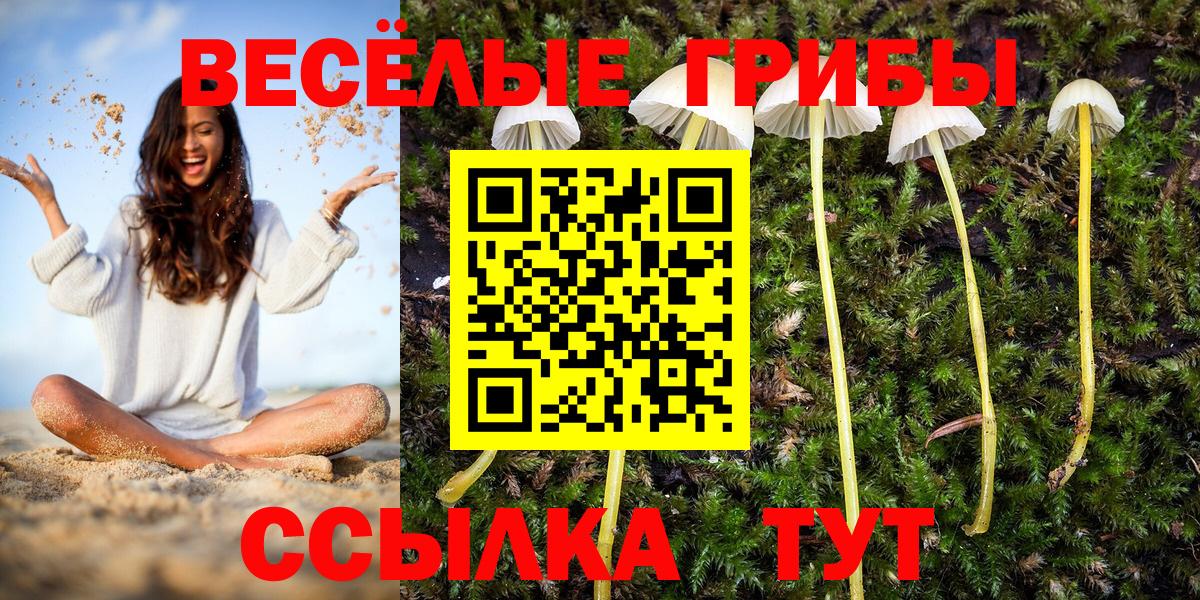 Галлюциногенные грибы GOLDEN TEACHER Дзержинск